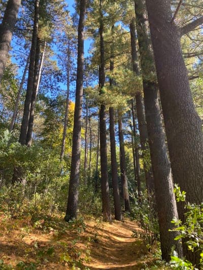 Hartman Creek State Park