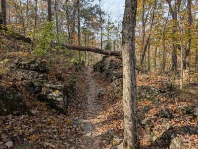 Harrison-Crawford State Forest