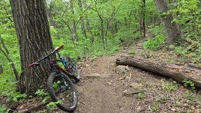 Harrison-Crawford State Forest