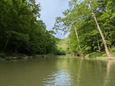 Harrison-Crawford State Forest