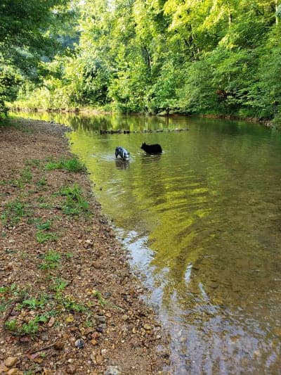 Hazel Creek Campground
