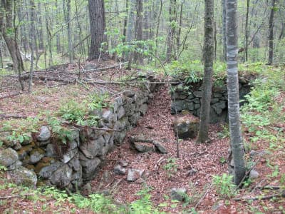Hayfield Property