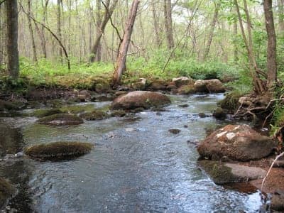 Hayfield Property