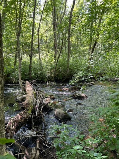 Hayfield Property