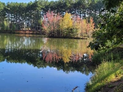 Hays Nature Preserve