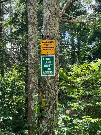 Hayfield Property