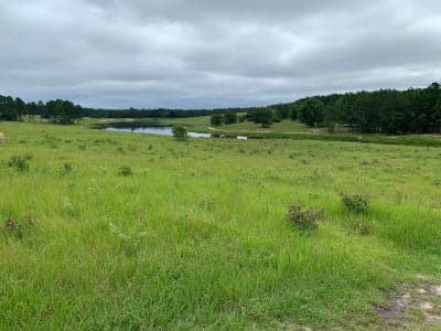 H. Cooper Black Jr. Memorial Field Trial and Recreation Area