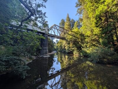 Henry Cowell Redwoods State Park