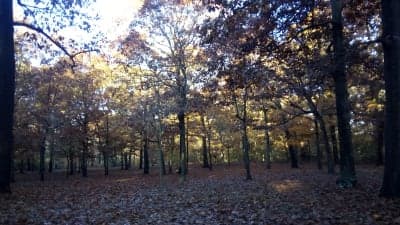 Hempstead Lake State Park
