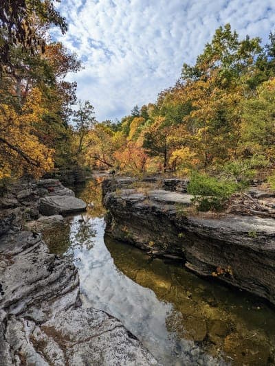 Hercules-Glades Wilderness