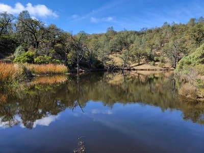 Henry W. Coe State Park