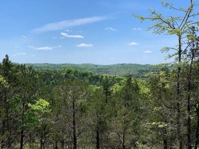 Hercules-Glades Wilderness