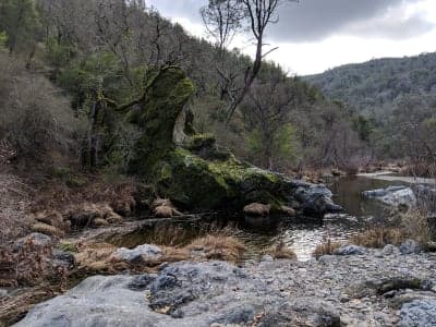 Henry W. Coe State Park