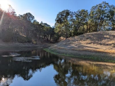 Henry W. Coe State Park