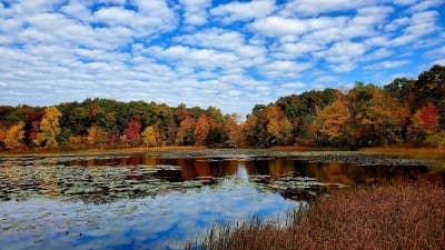 Highland Recreation Area