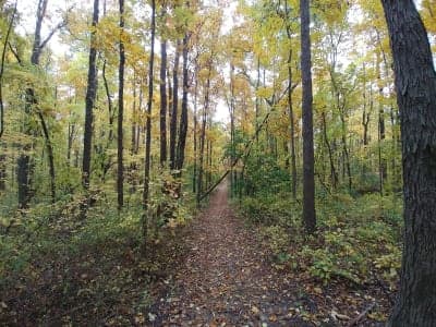 Highland Recreation Area