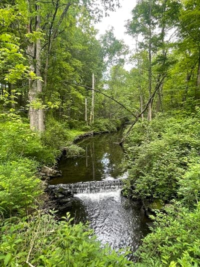 Highland Lakes State Park