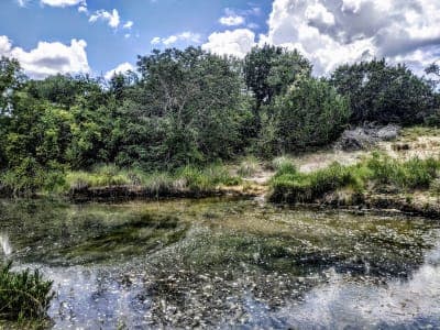 Hill Country State Natural Area