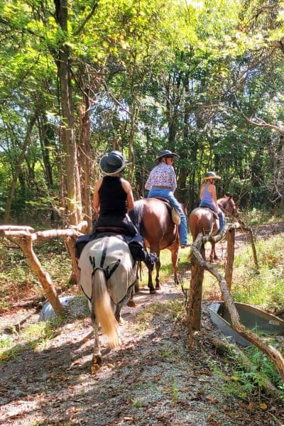 Hillsdale State Park / Saddle Ridge Equestrian Area
