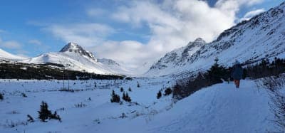 Hilltop / Abbott Loop trail systems