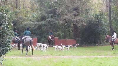 Hitchcock Woods