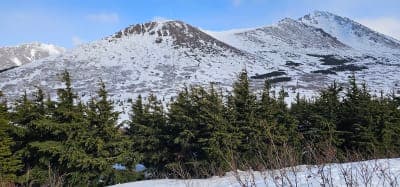 Hilltop / Abbott Loop trail systems