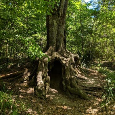 Historic Blakeley State Park