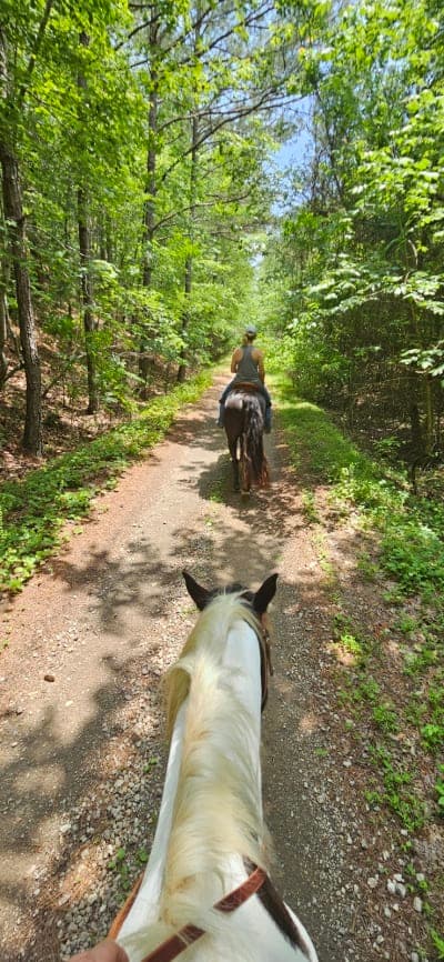 Hodges Equestrian Park
