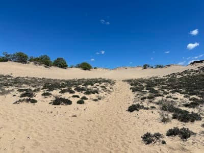 Hither Hills State Park