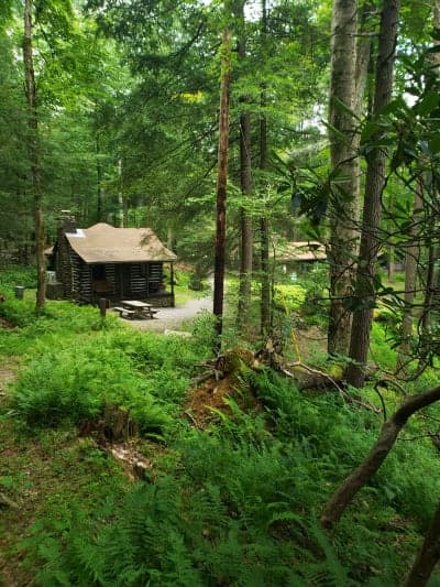 Holly River State Park