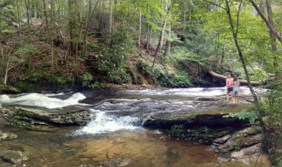 Holly River State Park