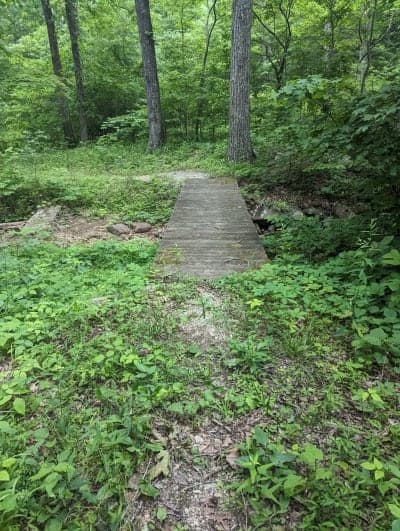Hoosier National Forest - German Ridge Recreation Area