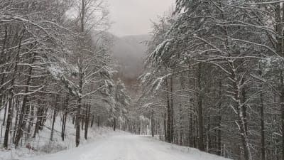 Holston Mountain Horse Trail Complex