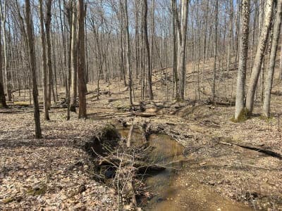 Hoosier National Forest - Hickory Ridge Campground and Trails