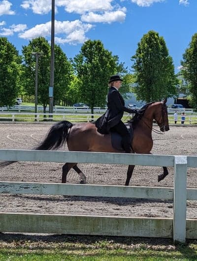 Horse Park of New Jersey