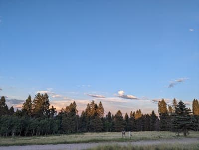 Hopewell Lake Campground