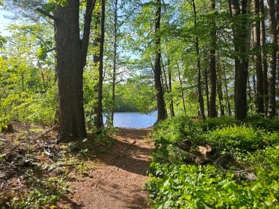 Hopkinton State Park