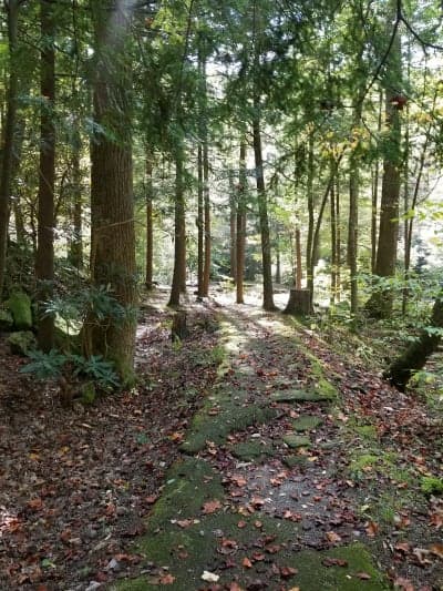 Horse Creek Recreation Area