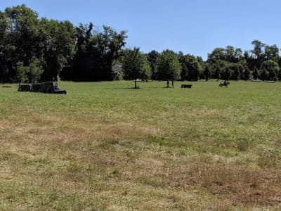 Horse Park of New Jersey