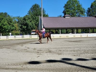 Horse Park of New Jersey