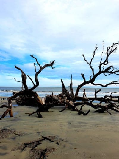 Hunting Island State Park