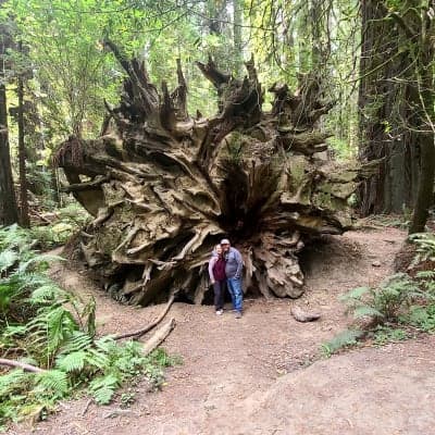 Humboldt Redwoods State Park