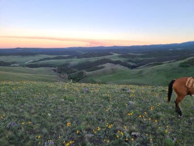 Hunter Campground