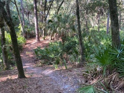 Hunting Island State Park