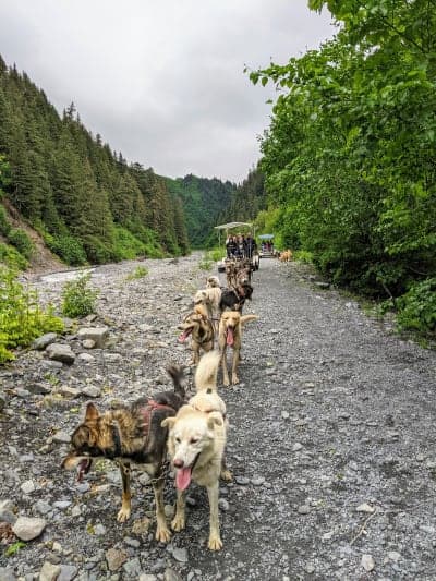 Iditarod National Historic Trail
