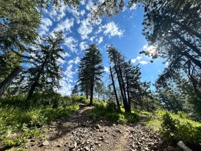 Idaho Panhandle National Forests