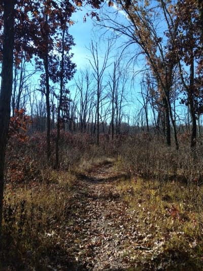 Indiana Dunes National Park - Glenwood Dunes