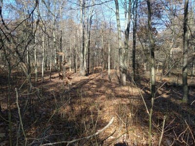 Indiana Dunes National Park - Glenwood Dunes
