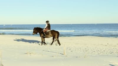 Island Beach State Park