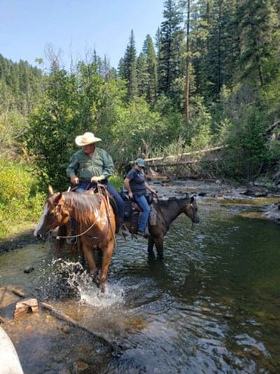 Jacks Creek Horse Camp